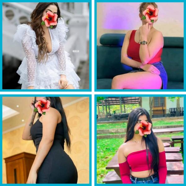 𝐖𝐄𝐋𝐋𝐂𝐎𝐌𝐄 ✦ Colombo area visit ok 01to15