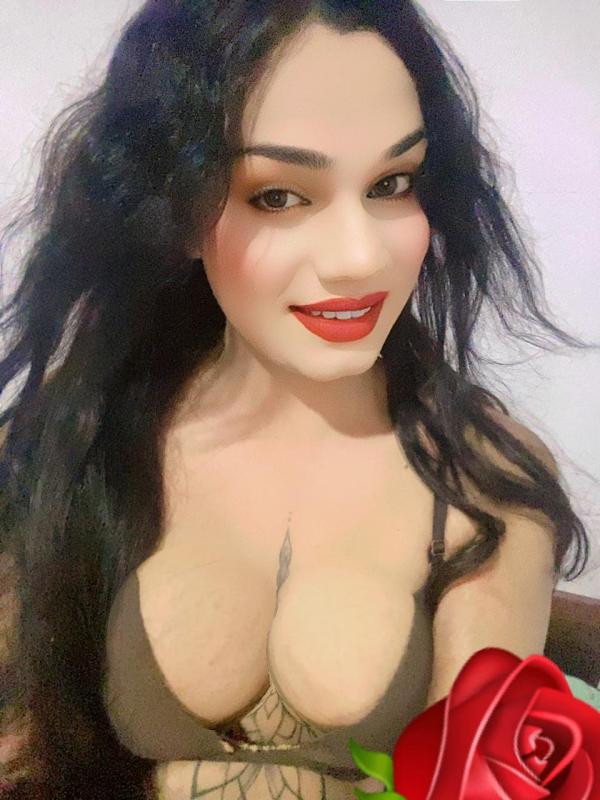 Verified Shemale Cam Show Beautiful Shemale Genuine Live Cam Show Available ❤️😇