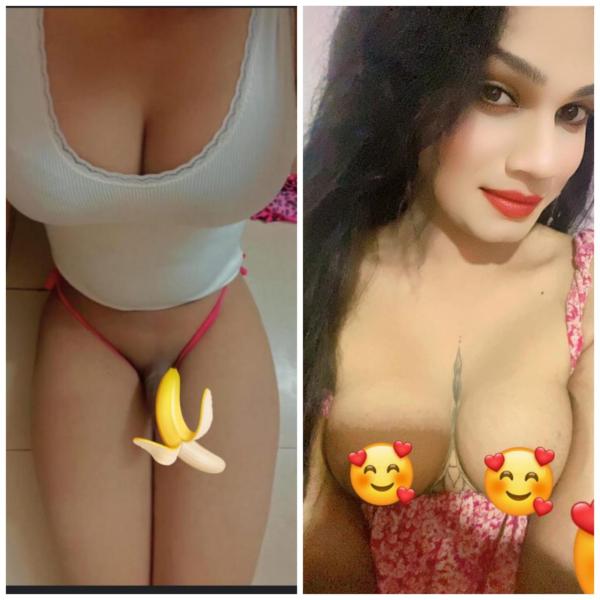 Verified Shemale Cam Show Beautiful Shemale Genuine Live Cam Show Available ❤️😇