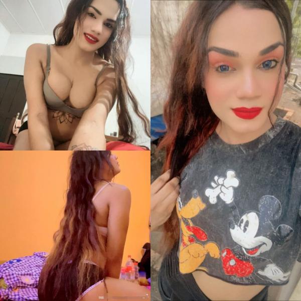 Verified Shemale Cam Show Beautiful Shemale Genuine Live Cam Show Available ❤️😇