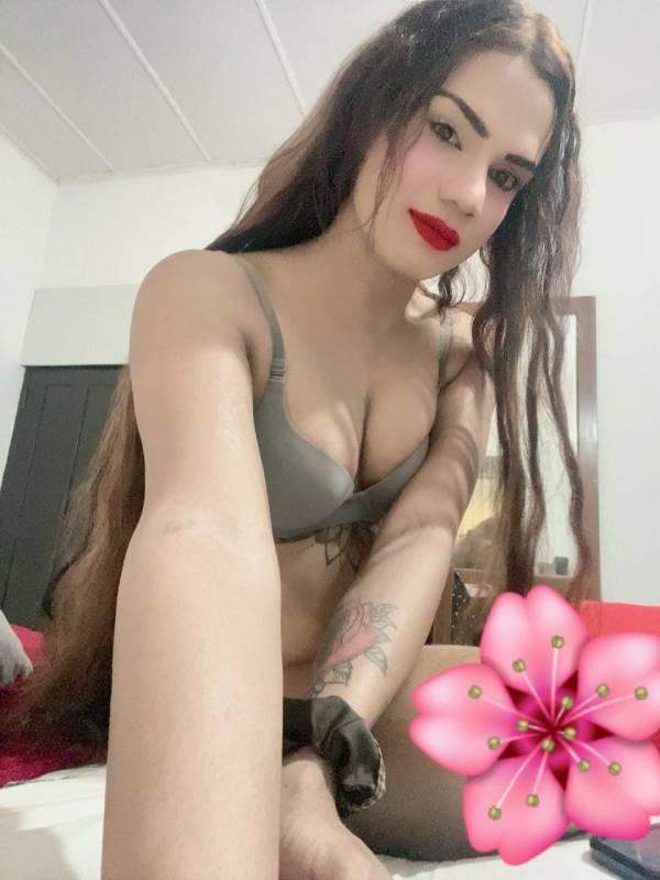 🪷🌸 Shemale 💕 Full Service 📷 Live Cam OK