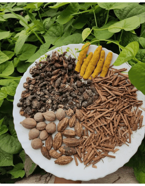 ක්ෂණික මෝචනය / අප්‍රාණිකත්වය වර්ධනයට අත්දුටු ආයුර්වේද ප්‍රතිකාරය.. 👇