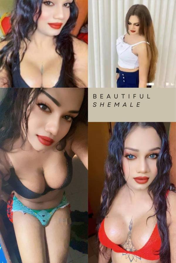 Verified Shemale Cam Show Beautiful Shemale Genuine Live Cam Show Available ❤️😇
